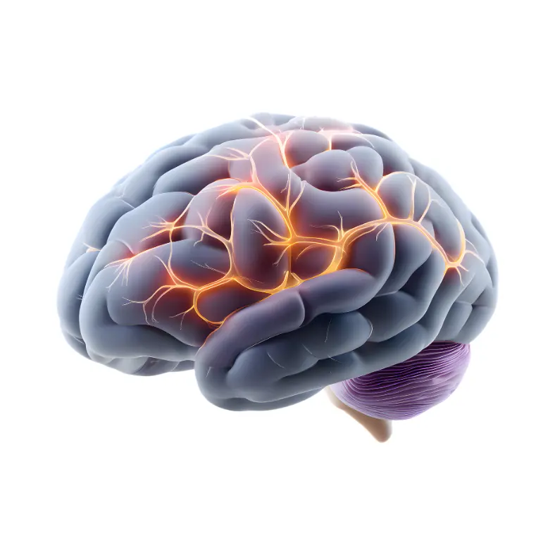 Neurological & Brain Diseases | دماغی اور اعصابی امراض کی ہربل ریمیڈیز